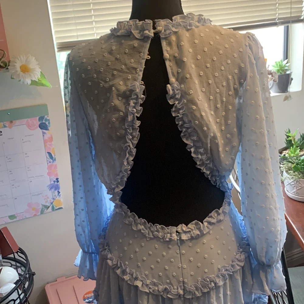 Blue Dress - Picture 3 of 3